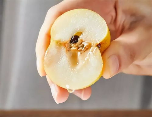 北国醉果，南国无觅处 品尝后真的会醉吗？