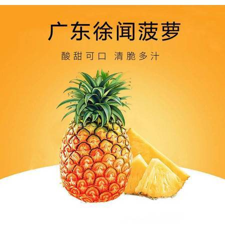徐闻凤梨 岭南佳果，香甜礼赠——探秘广东特产新鲜大菠萝